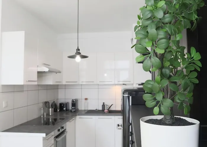 Apartament Le 7eme Art, Hyper Centre Miluza